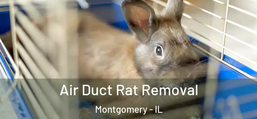  Air Duct Rat Removal Montgomery - IL