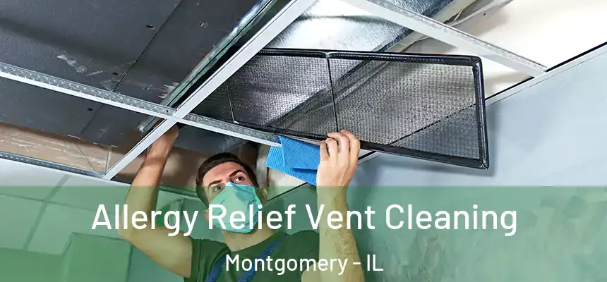  Allergy Relief Vent Cleaning Montgomery - IL