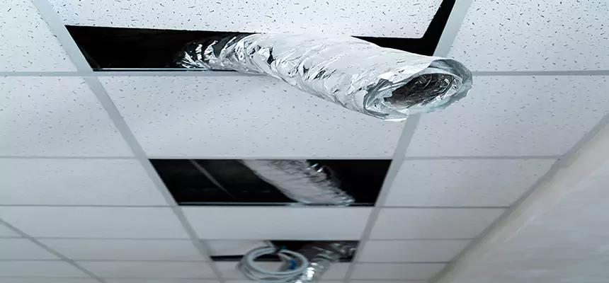 Our Air Duct Pet Hair Removal Services in Montgomery, IL