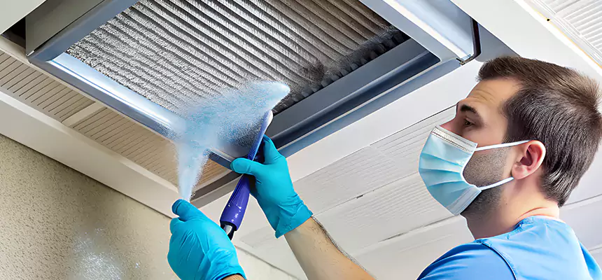 Proactive Dryer Vent & Auxiliary Duct Pollen Cleanup in Montgomery, IL
