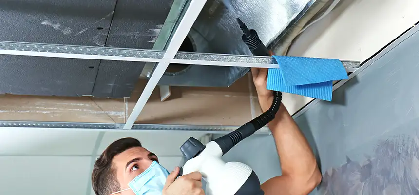 Our Air Duct Rodent Removal Services in Montgomery, IL