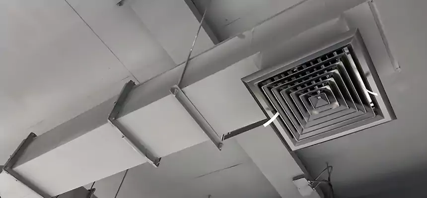 Our Rodent Droppings In Vents Services in Montgomery, IL