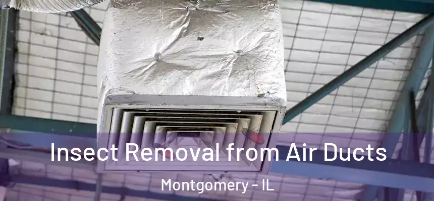  Insect Removal from Air Ducts Montgomery - IL
