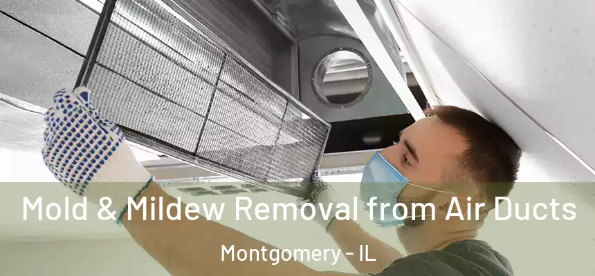  Mold & Mildew Removal from Air Ducts Montgomery - IL