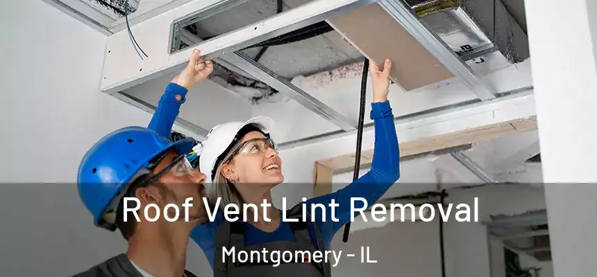  Roof Vent Lint Removal Montgomery - IL