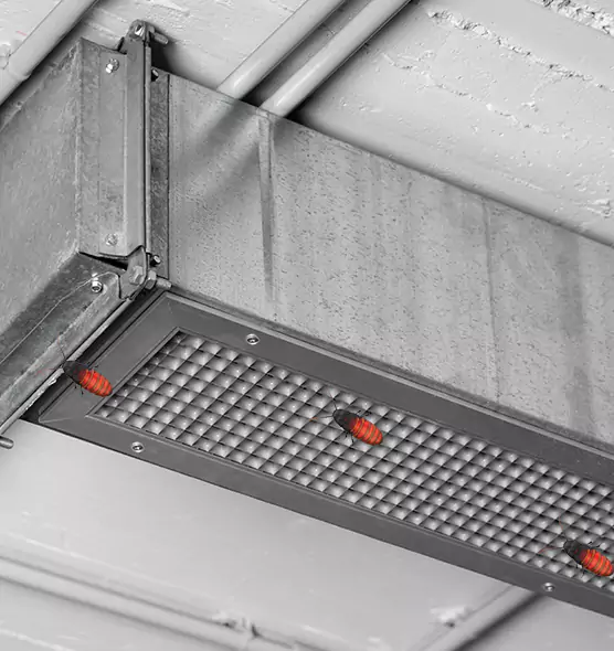 About Air Duct Cockroach Removal in Montgomery, IL